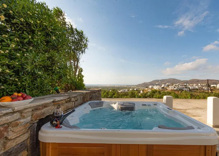 公寓 Di Sergio Glinado Naxos